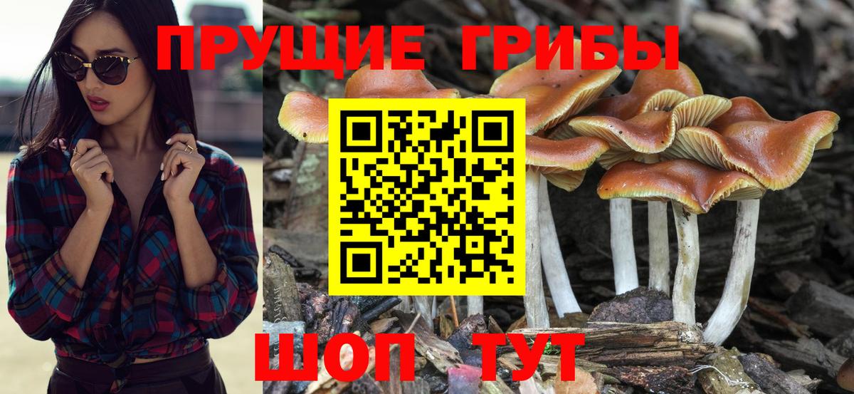 Наркошоп  МЕФ  Серов  Кокаин  Вход с VPN  Мефедрон кристаллы  Марихуана  Альфа ПВП СОЛЬ кристаллы  Вейп ТГК 