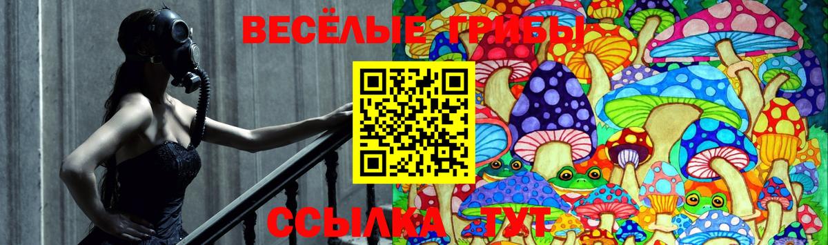 Галлюциногенные грибы мухоморы  Псилоцибиновые грибы прущие грибы  Серов  Вход с VPN 